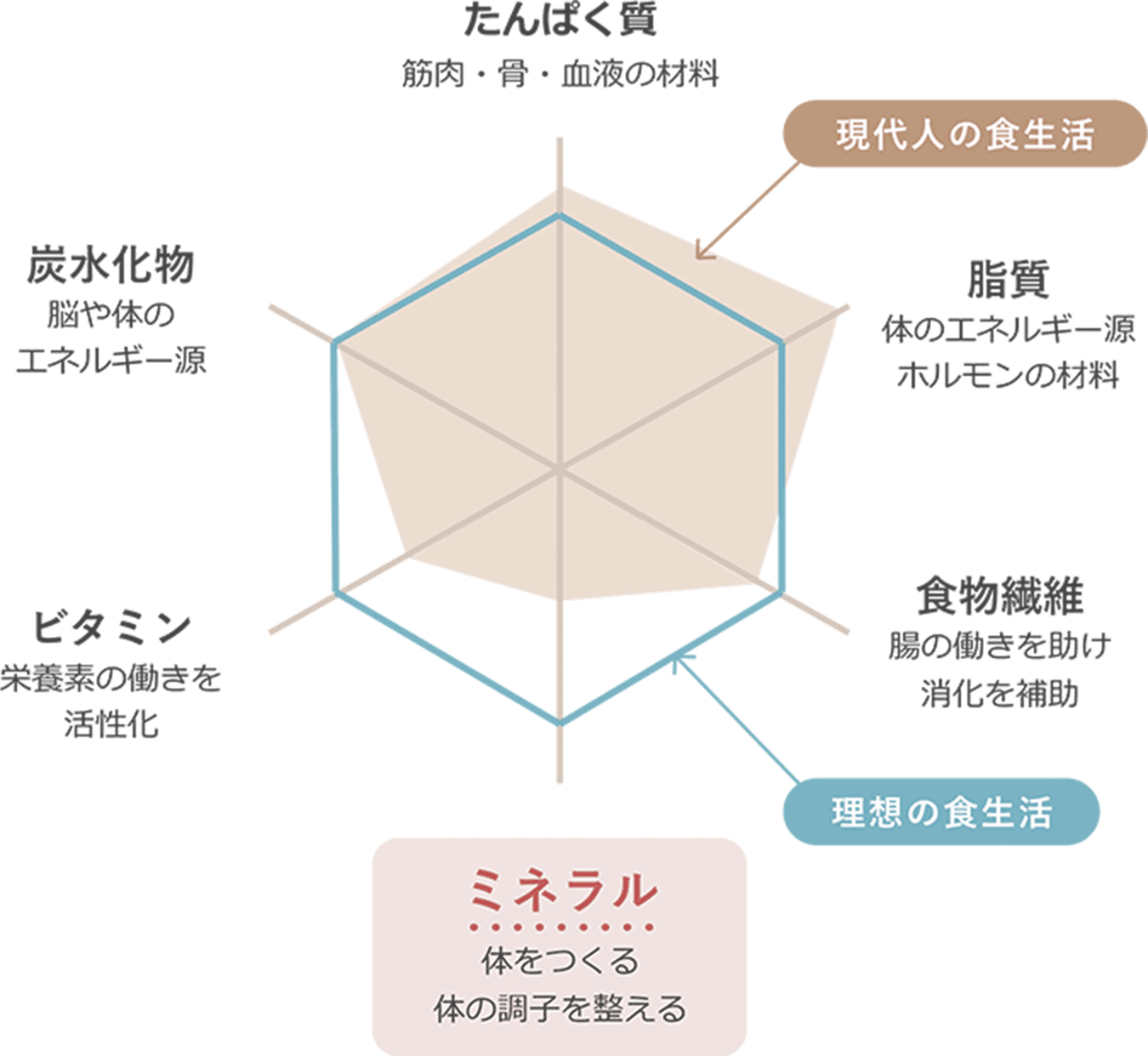 栄養バランスのチャート表