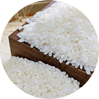 白ごはん
